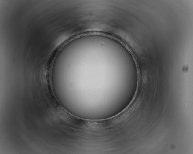 X0000103491258200809121706