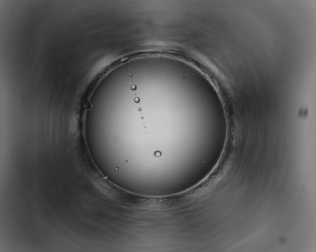 X0000103491259200809121706