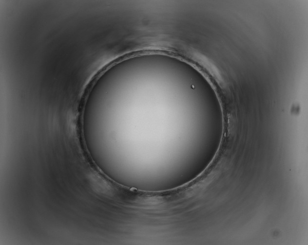 X0000103491260200809121706