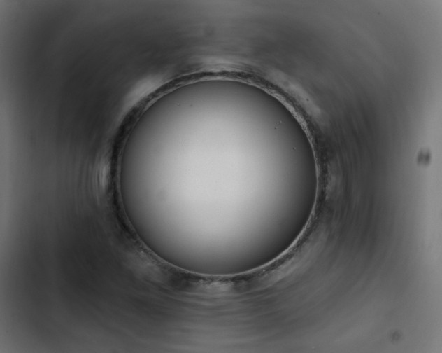 X0000103491261200809121706