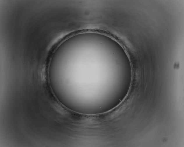 X0000103491262200809121706