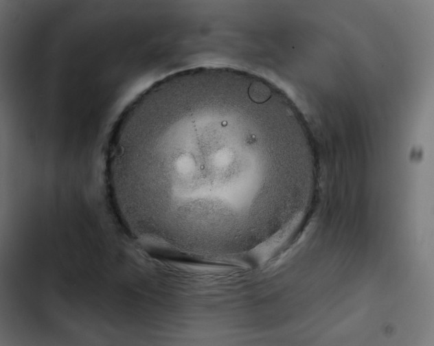 X0000103491263200809121706