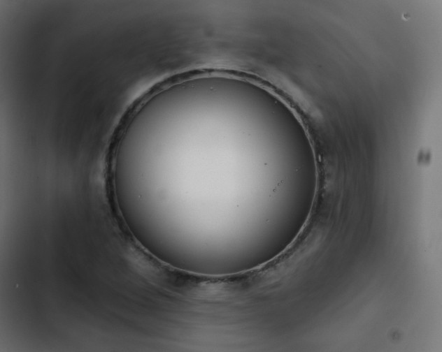 X0000103491264200809121706