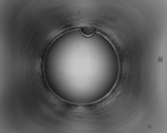 X0000103491265200809121706