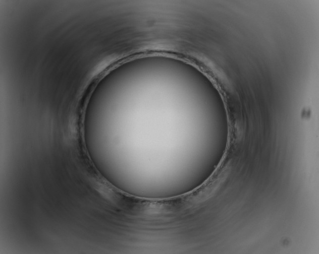 X0000103491266200809121706