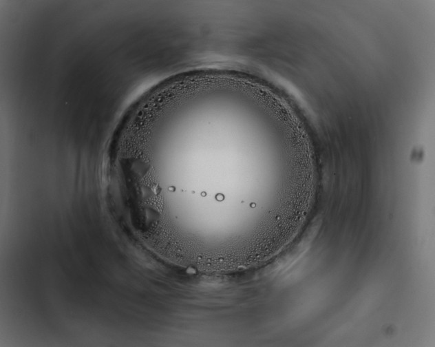 X0000103491267200809121706