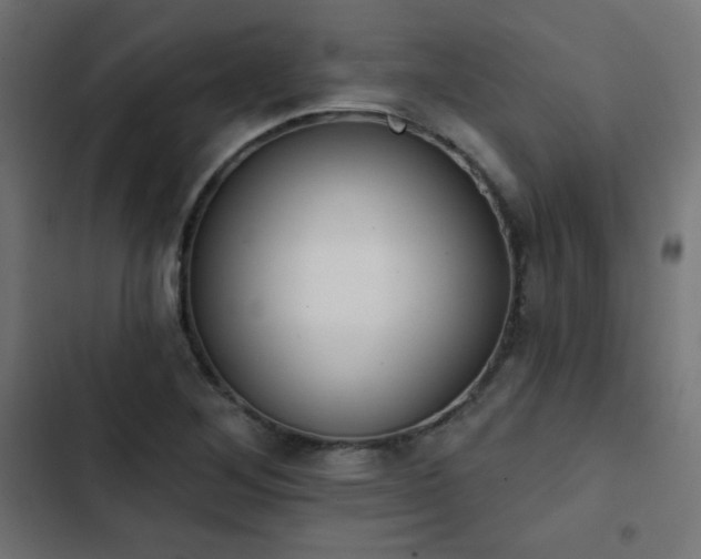 X0000103491268200809121706