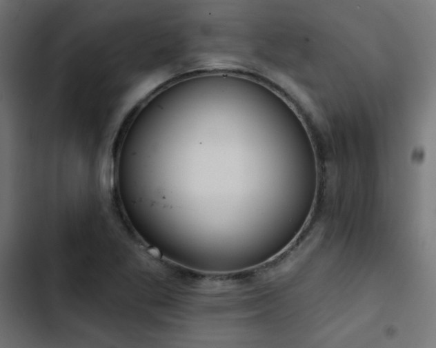 X0000103491269200809121706