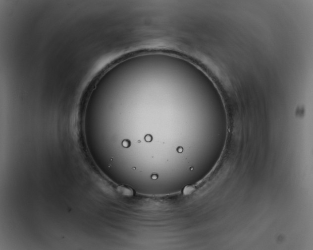 X0000103491270200809121706