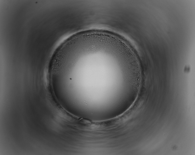 X0000103491271200809121706