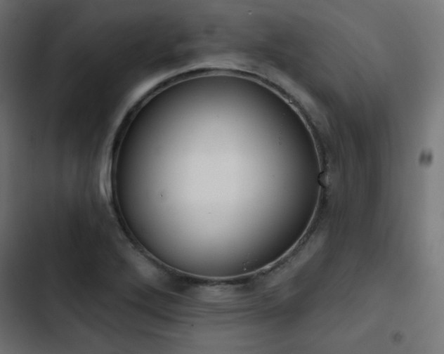 X0000103491272200809121706