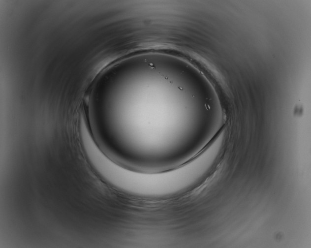 X0000103491273200809121706