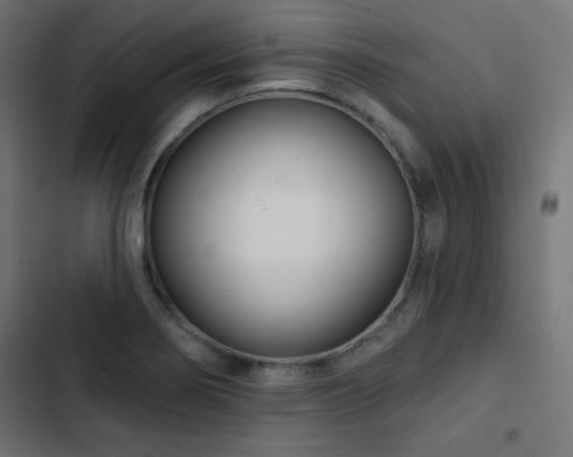 X0000103491274200809121706