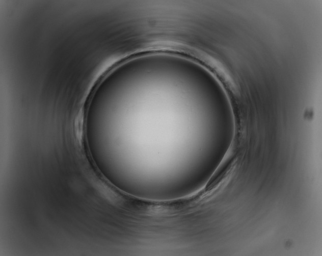 X0000103491275200809121706