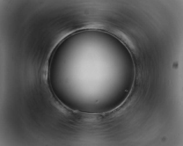 X0000103491276200809121705