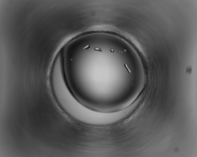 X0000103491277200809121705