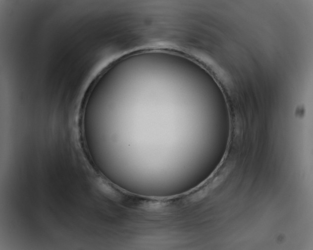 X0000103491278200809121705