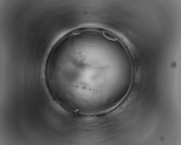 X0000103491279200809121705