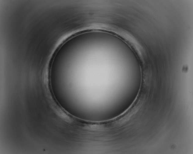 X0000103491280200809121705