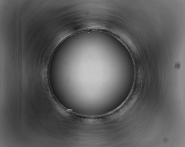 X0000103491281200809121705