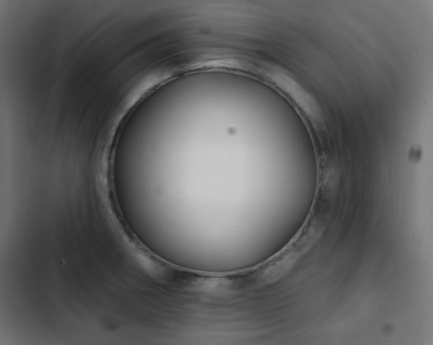 X0000103491282200809121705