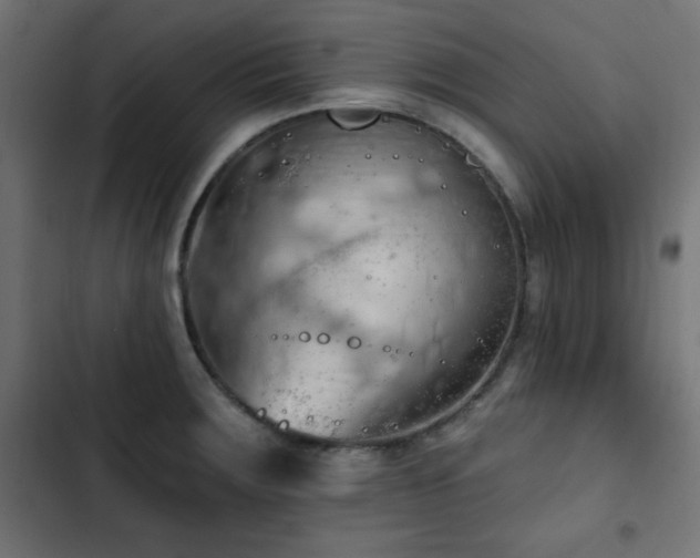 X0000103491283200809121705