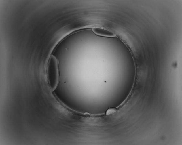 X0000103491284200809121705