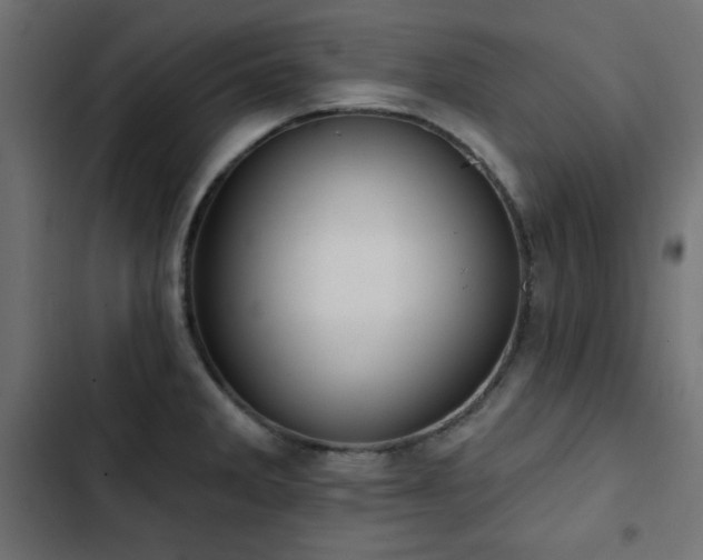 X0000103491285200809121705