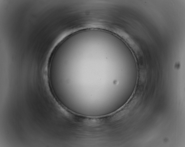 X0000103491286200809121705