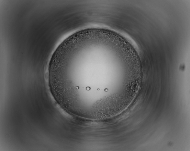 X0000103491287200809121705