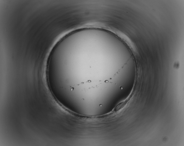 X0000103491288200809121705