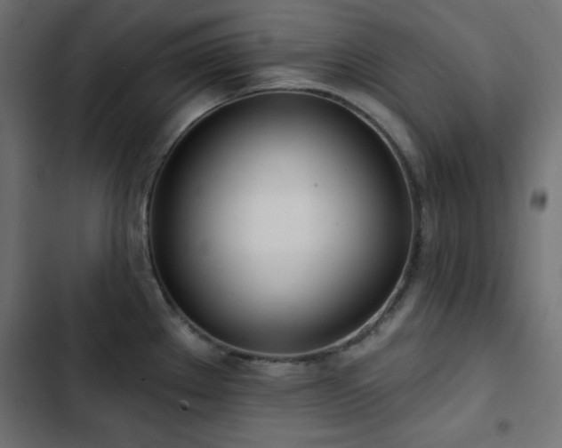 X0000103491289200809121705