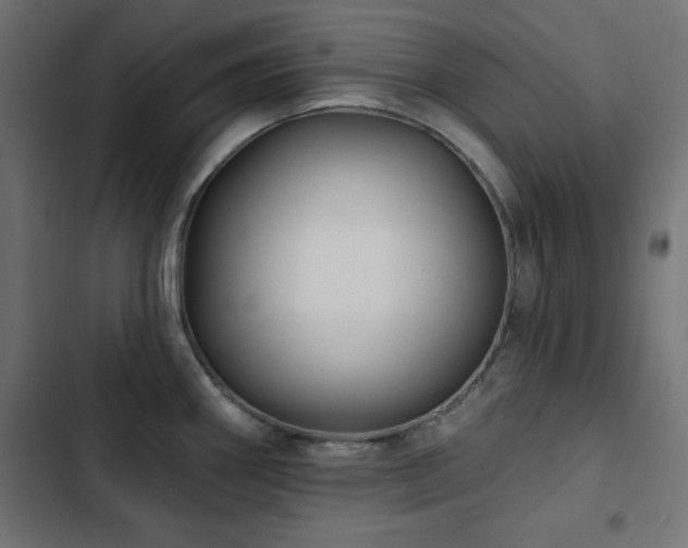 X0000103491290200809121705