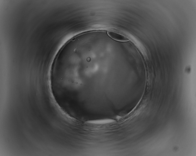 X0000103491291200809121705