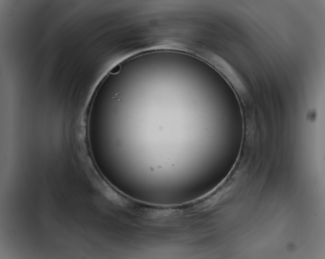 X0000103491292200809121705