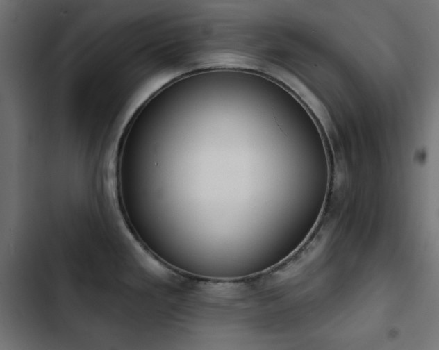 X0000103491293200809121705