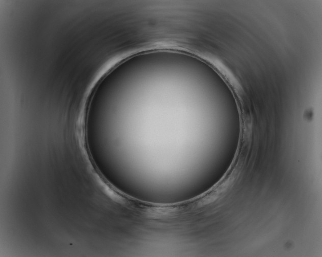 X0000103491294200809121705