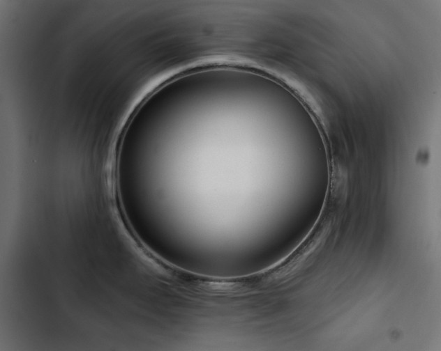 X0000103491295200809121705