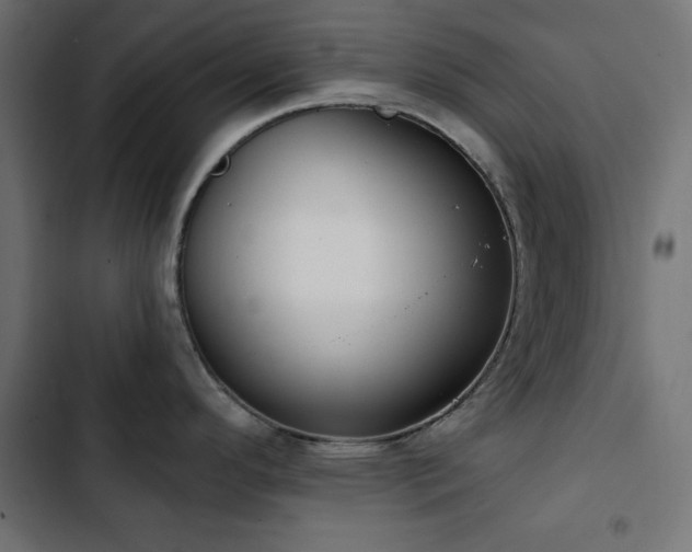 X0000103491296200809121705