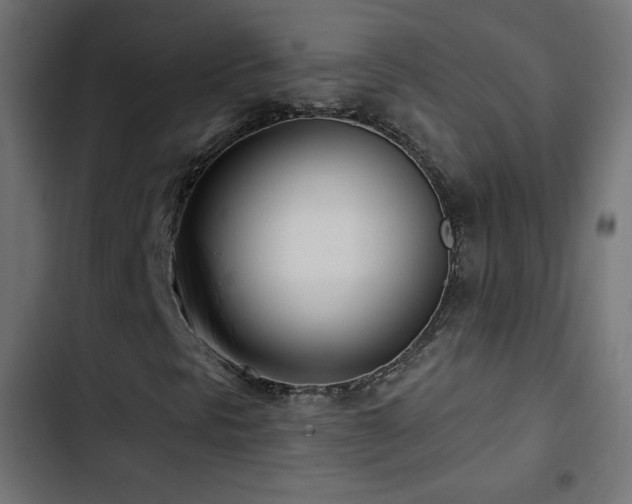 X0000103491297200809121704