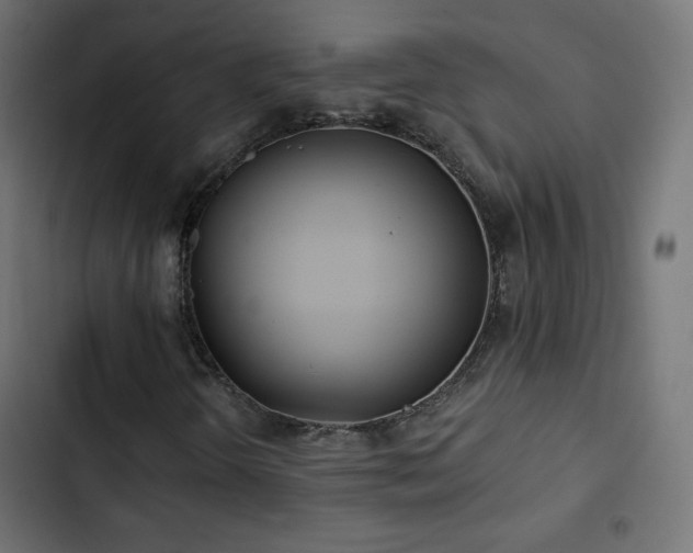 X0000103491298200809121704