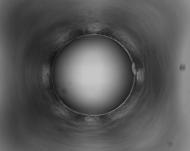 X0000103491299200809121704