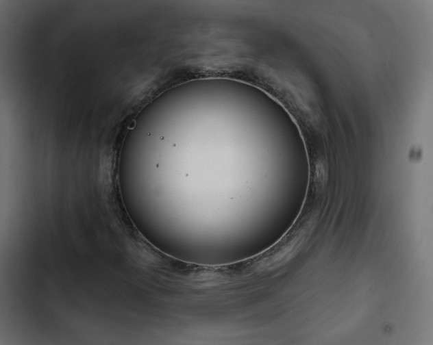 X0000103491300200809121704