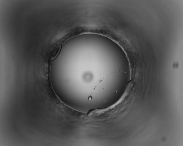 X0000103491301200809121704