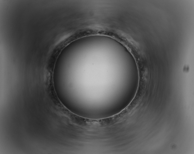 X0000103491302200809121704