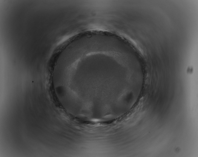 X0000103491303200809121704