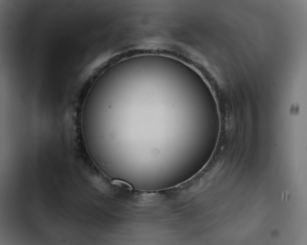 X0000103491304200809121704