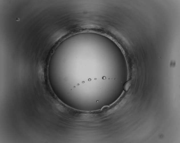 X0000103491305200809121704