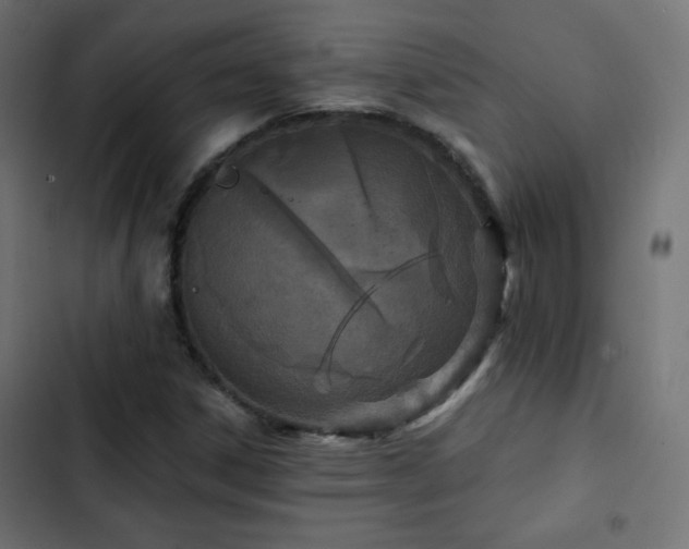 X0000103491306200809121704