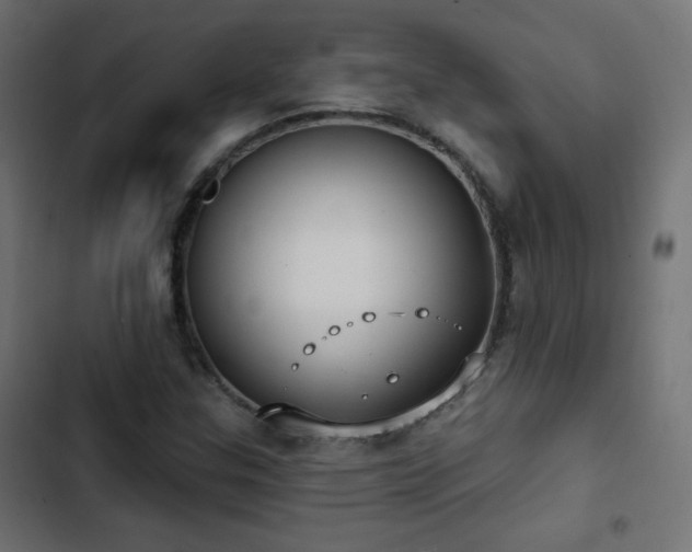 X0000103491307200809121704